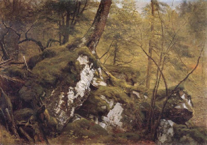Asher Brown Durand The Croyon china oil painting image